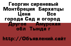 Георгин сиреневый. Монтбреция. Бархатцы.  › Цена ­ 100 - Все города Сад и огород » Другое   . Амурская обл.,Тында г.